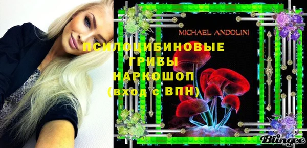 ГАЛЛЮЦИНОГЕННЫЕ ГРИБЫ Абдулино