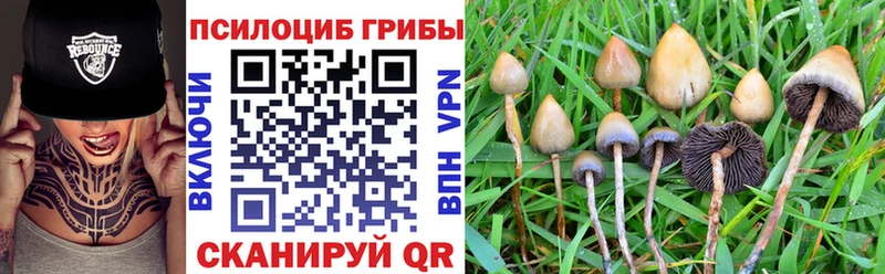 Галлюциногенные грибы MAGIC MUSHROOMS  купить  сайты  Алексин 
